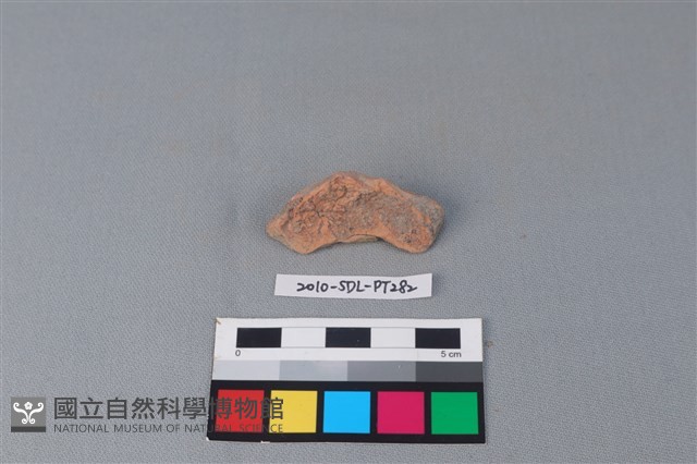 連杯形器藏品圖，第3張