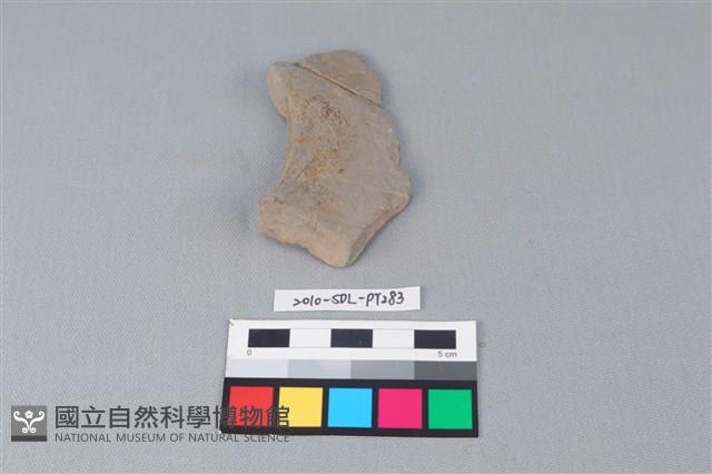 連杯形器藏品圖，第3張