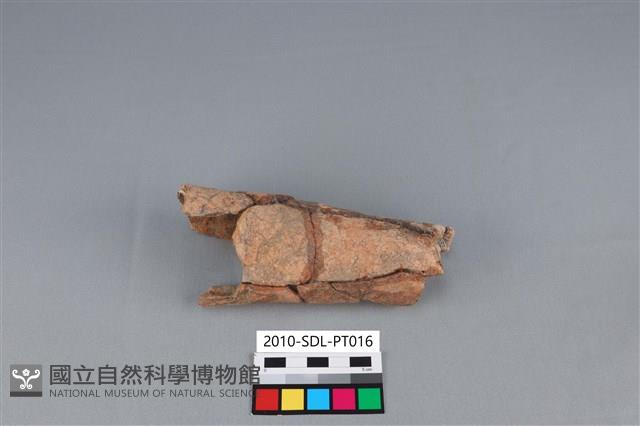 連杯形器藏品圖，第3張