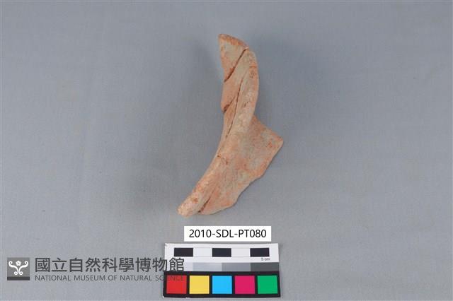 陶罐藏品圖，第3張