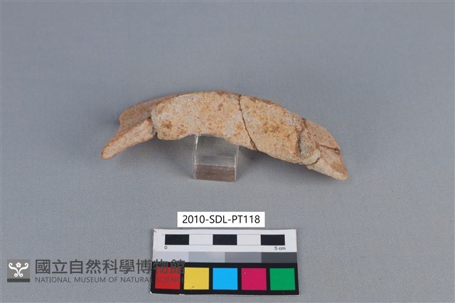 陶片藏品圖，第3張