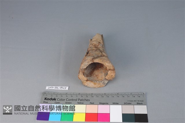 連杯形器藏品圖，第3張