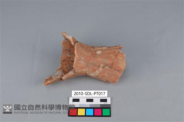 連杯形器藏品圖，第3張