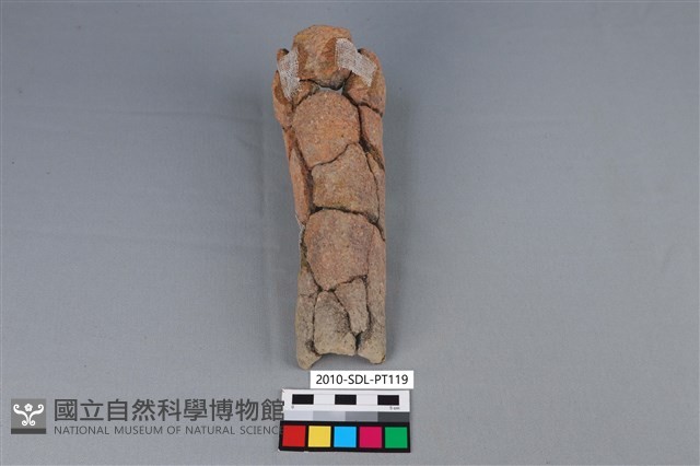 陶鼎足藏品圖，第3張