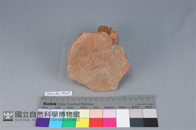 Accession Number:2010-SDL-PT009 Collection Image, Figure 3, Total 3 Figures