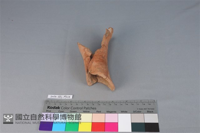 連杯形器藏品圖，第1張
