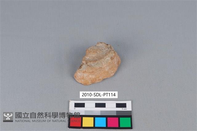 陶片藏品圖，第1張