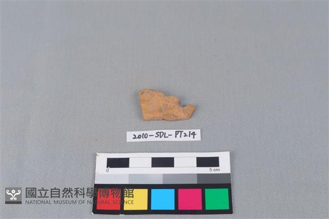 陶片藏品圖，第1張