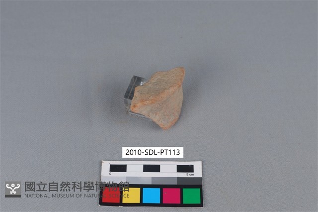 陶片藏品圖，第1張