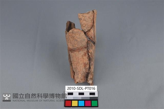 連杯形器藏品圖，第1張