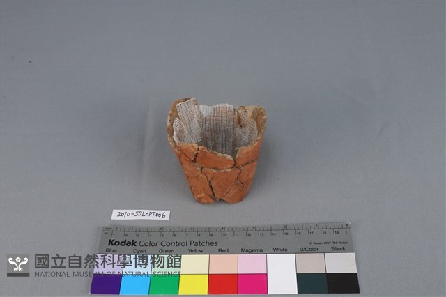 連杯形器藏品圖，第1張