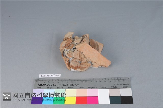 連杯形器藏品圖，第1張