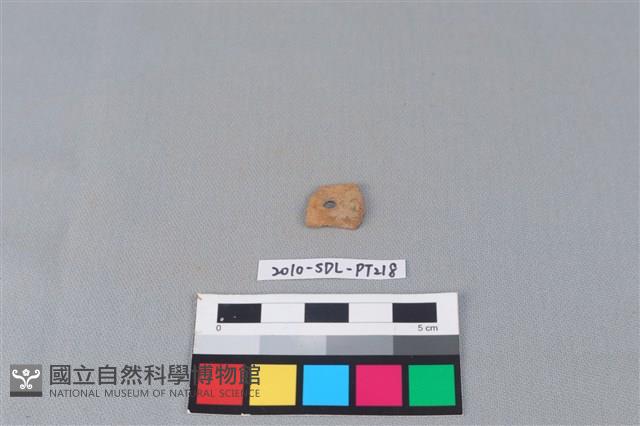 陶片藏品圖，第1張