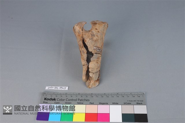 連杯形器藏品圖，第1張