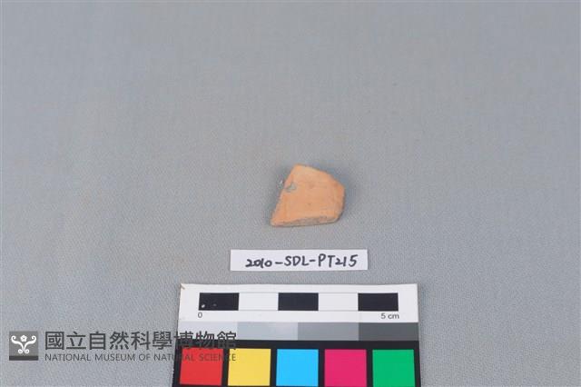 陶片藏品圖，第1張