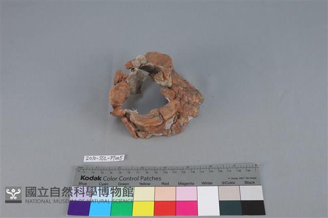 連杯形器藏品圖，第1張