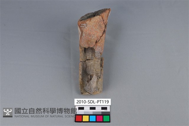 陶鼎足藏品圖，第1張