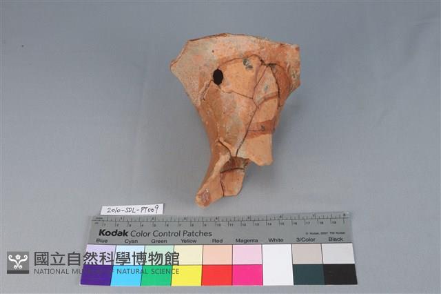 Accession Number:2010-SDL-PT009 Collection Image, Figure 1, Total 3 Figures