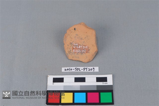 陶片藏品圖，第1張