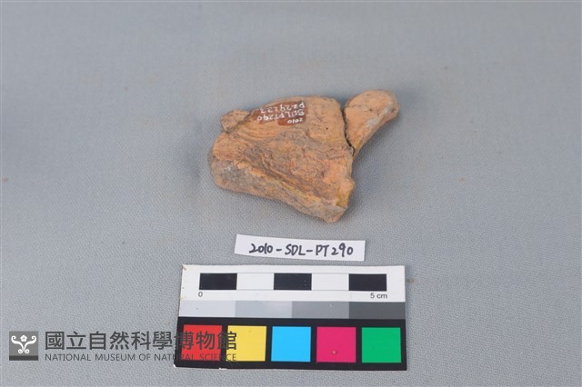 連杯形器藏品圖，第2張