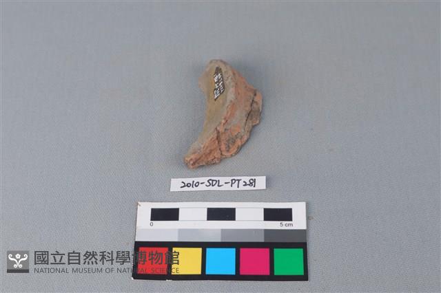 連杯形器藏品圖，第2張