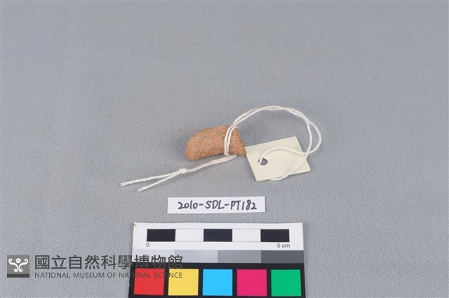 陶把藏品圖，第2張