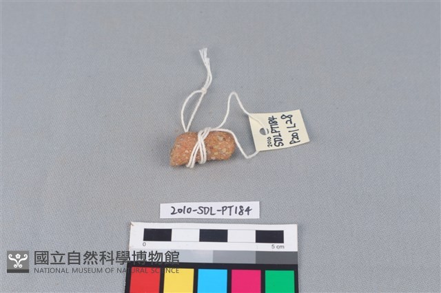陶把藏品圖，第2張