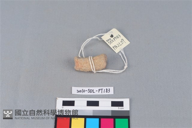 陶把藏品圖，第2張
