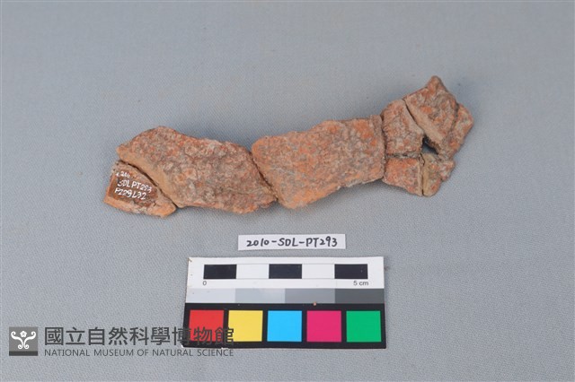 連杯形器藏品圖，第2張