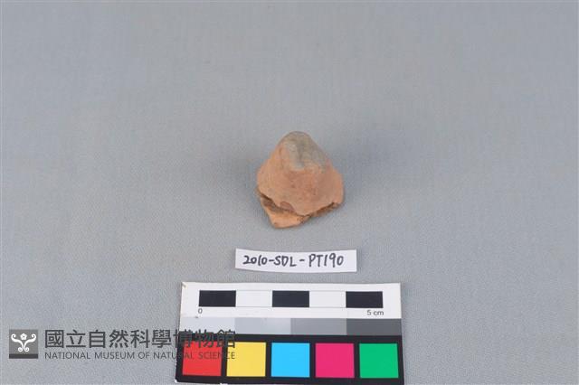 陶蓋鈕藏品圖，第2張