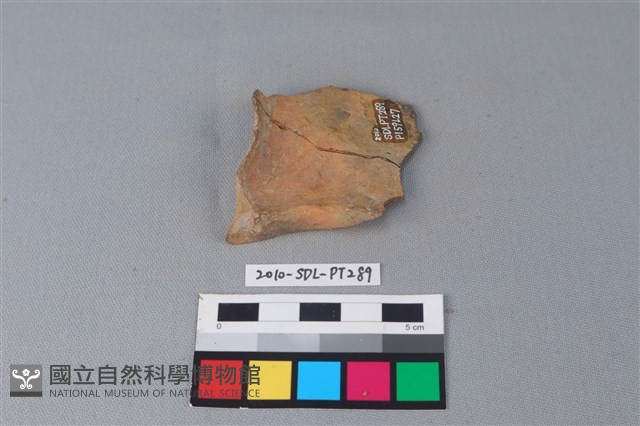 連杯形器藏品圖，第2張