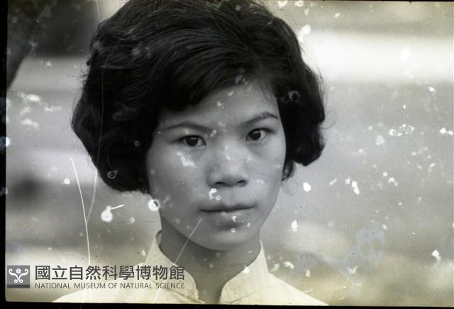 1950至2006年臺灣常民生活藏品圖，第1張