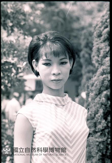 1950至2006年臺灣常民生活藏品圖，第1張