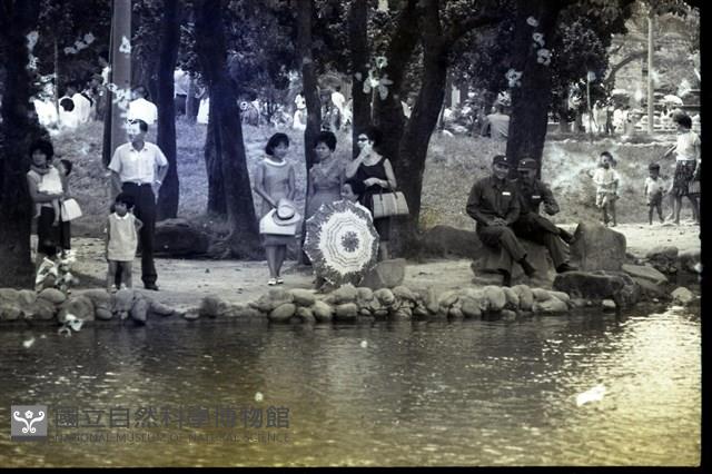 1950至2006年臺灣常民生活藏品圖，第1張
