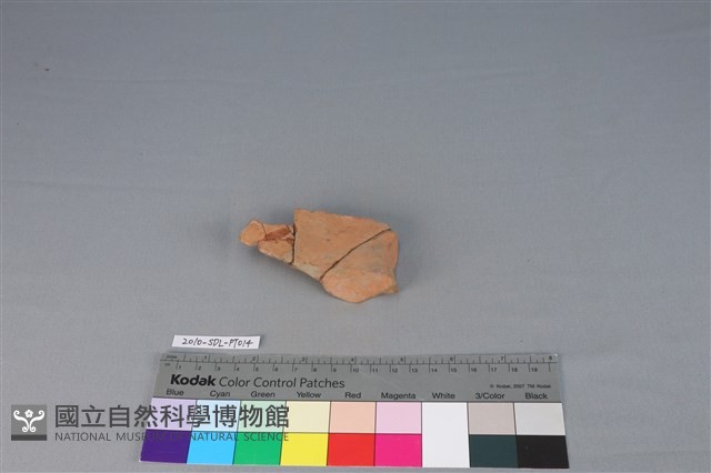 連杯形器藏品圖，第3張