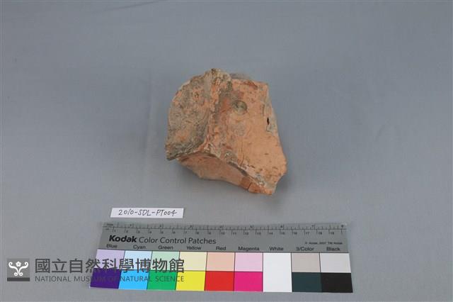 連杯形器藏品圖，第3張
