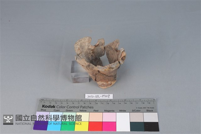 連杯形器藏品圖，第3張