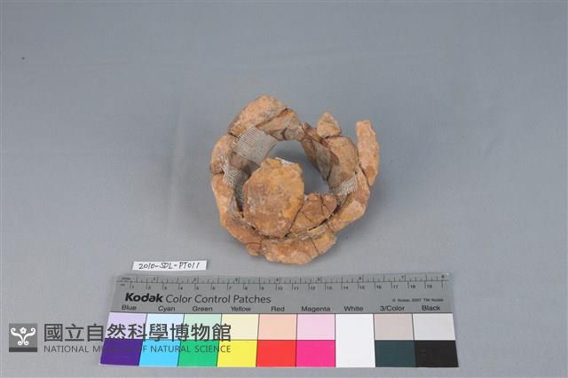 豆形器藏品圖，第3張