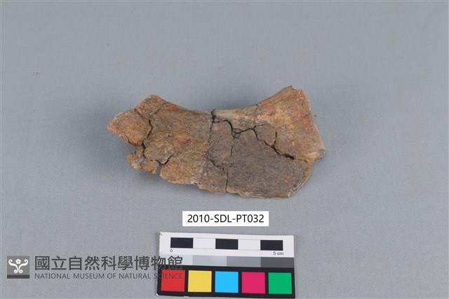 連杯形器藏品圖，第1張