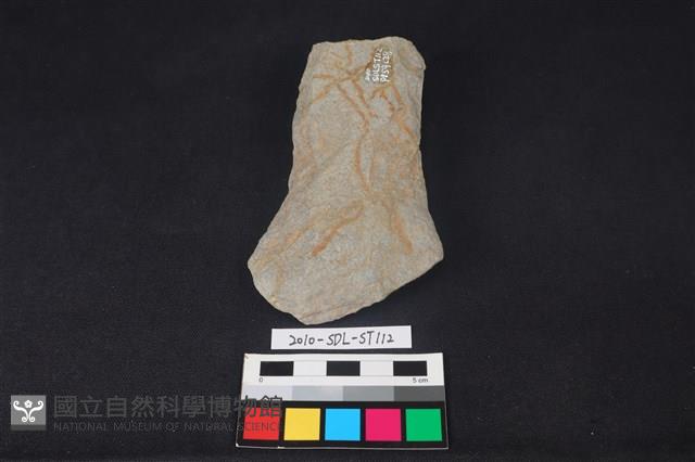 斧鋤形器藏品圖，第1張