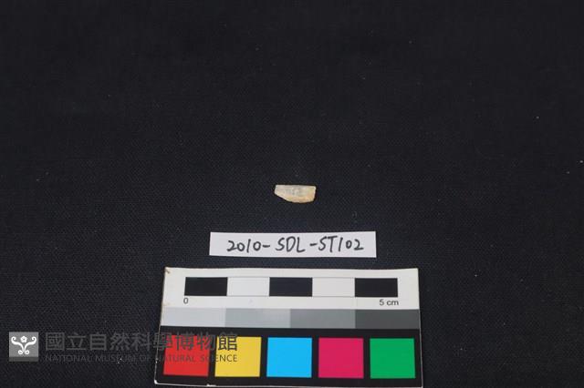 石器藏品圖，第1張