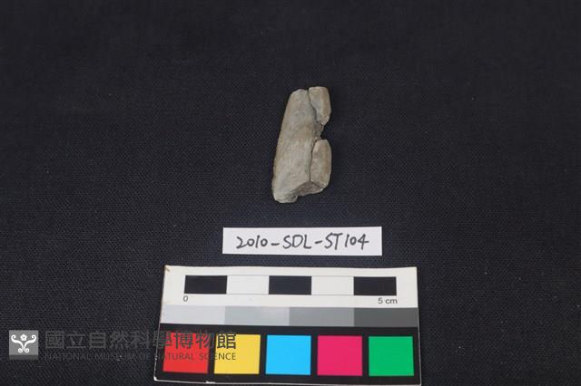 矛鏃形器藏品圖，第1張