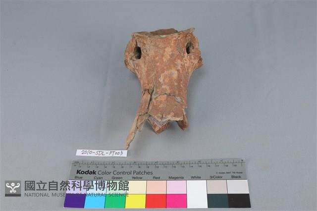 連杯形器藏品圖，第1張