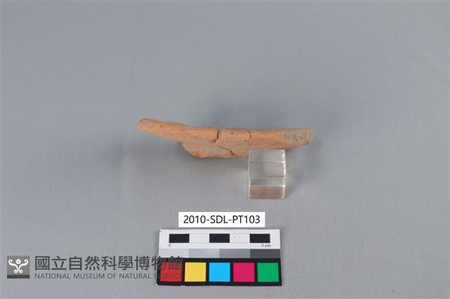 陶罐藏品圖，第1張