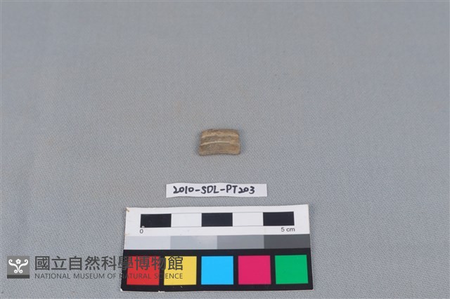 陶環藏品圖，第1張