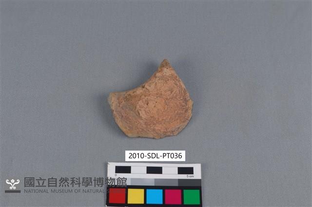 連杯形器藏品圖，第1張