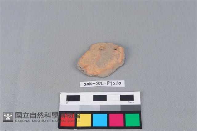 陶片藏品圖，第1張