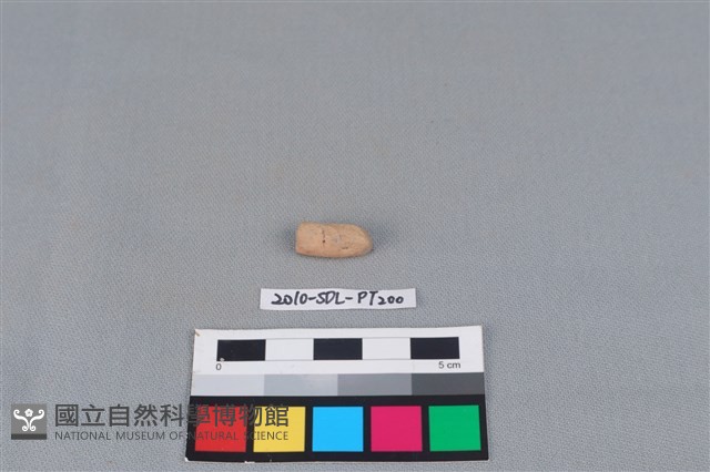 陶環藏品圖，第1張