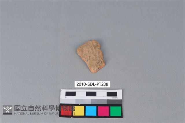 陶片藏品圖，第1張