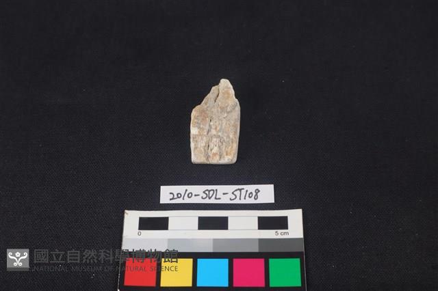 錛鑿形器藏品圖，第1張